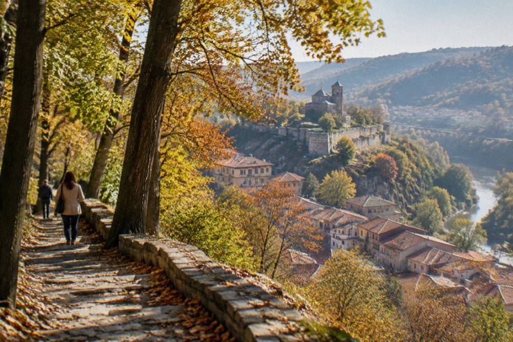 Autumn beech woodland with golden leaves and a soft light over a ridge path