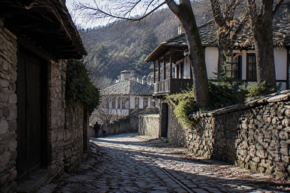 Cobbled lane running between stone house walls under tall trees in Bozhentsi