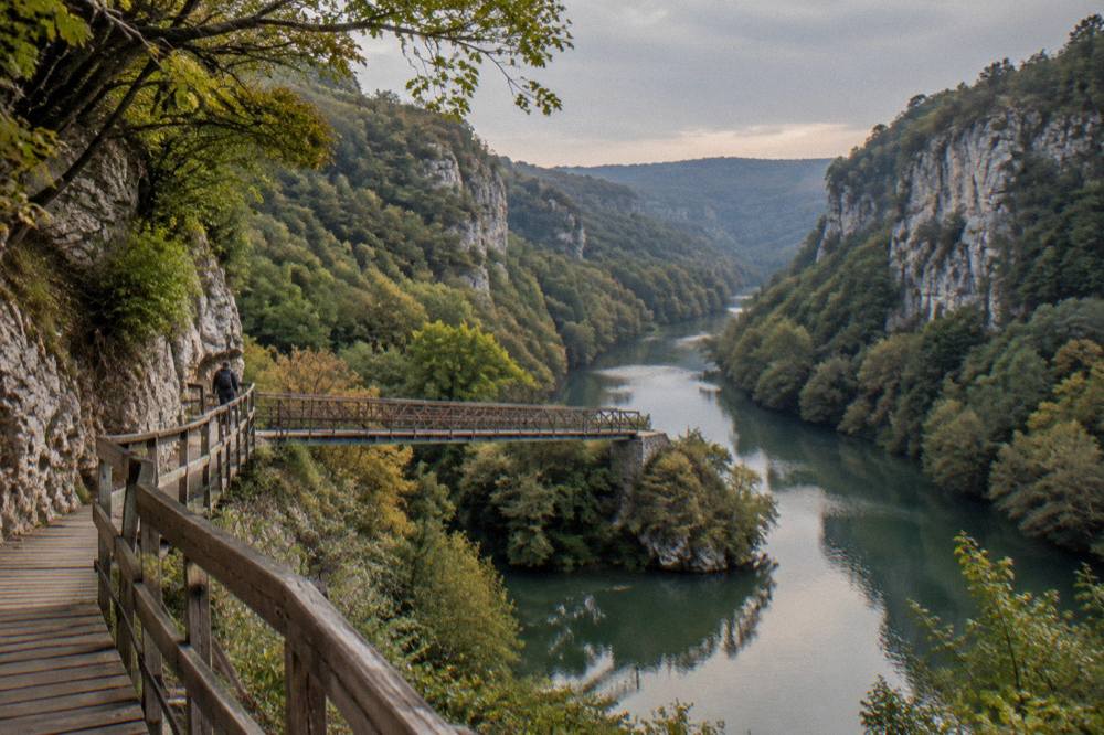 Wide view of a winding river disappearing between forested canyon walls in evening light