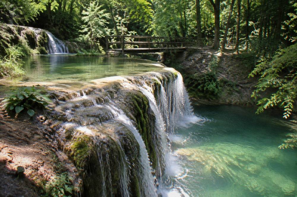 Water spilling over a curved limestone rim into a clear green pool surrounded by trees