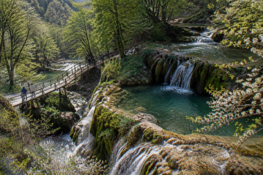 Sunlight falling through dense green trees onto a series of small waterfalls in late spring