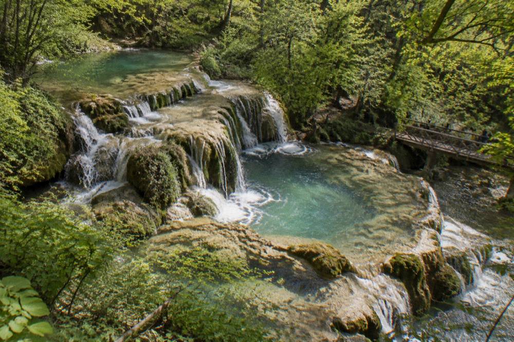 Turquoise water cascading over white travertine ledges at a woodland waterfall