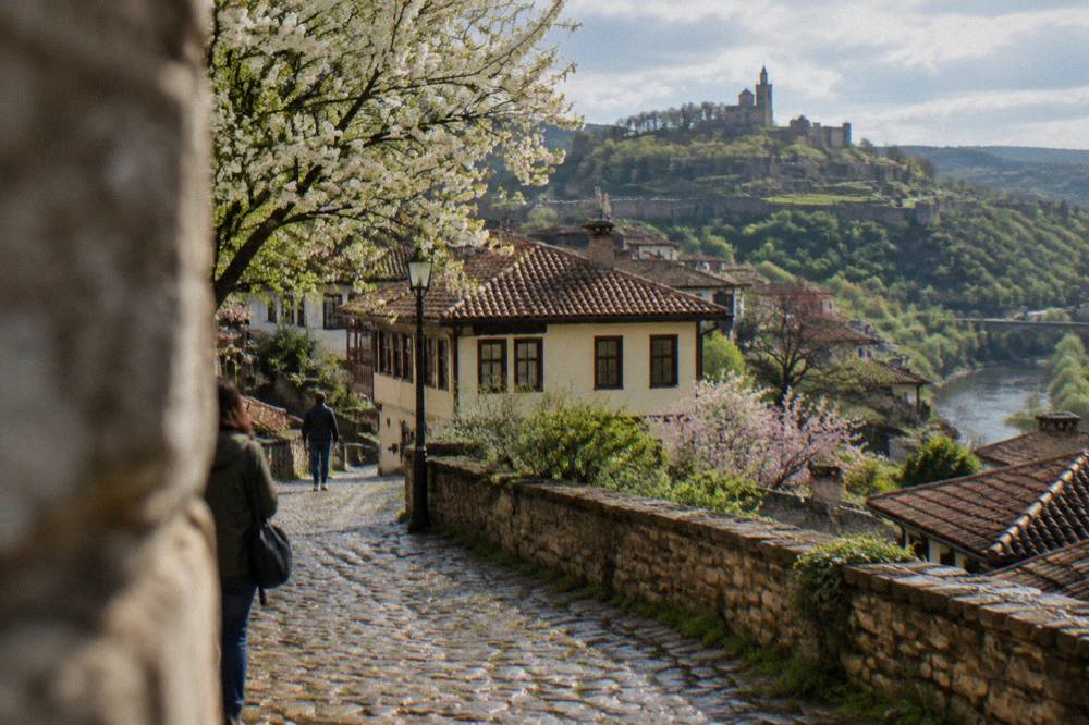 Flowering trees along a cobbled street in the Varosha quarter in spring