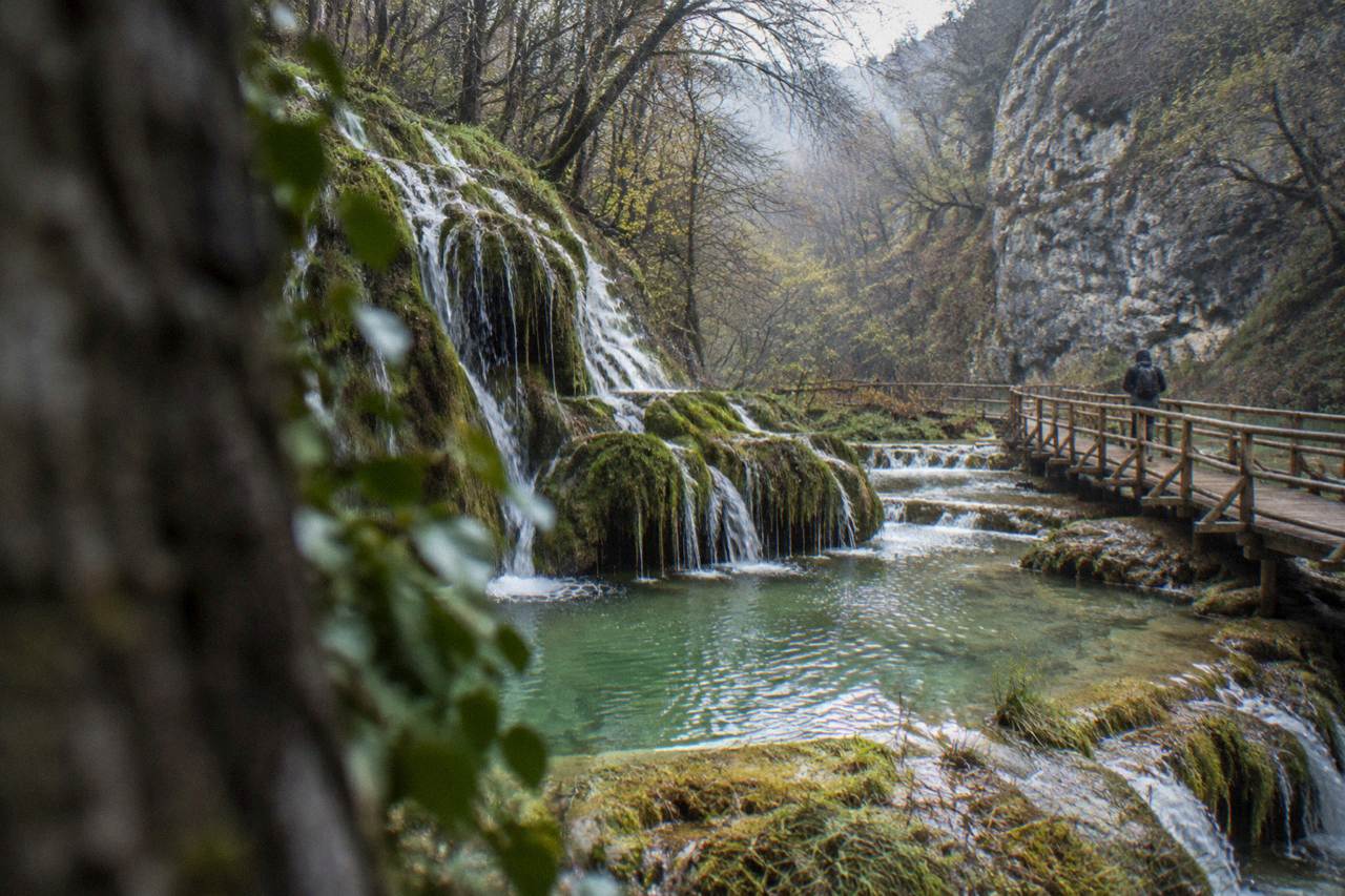 A forested limestone canyon with a river running between tall cliffs