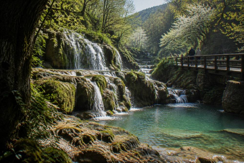 A waterfall at full flow in a green spring forest