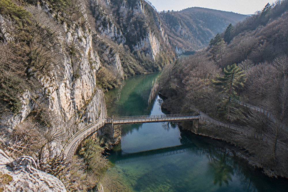 High limestone cliffs above a green river in a forested canyon gorge