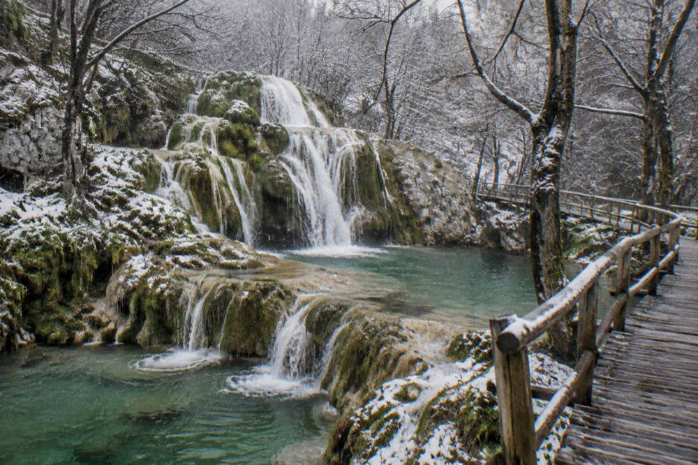 A waterfall dropping over white travertine ledges in a green forest